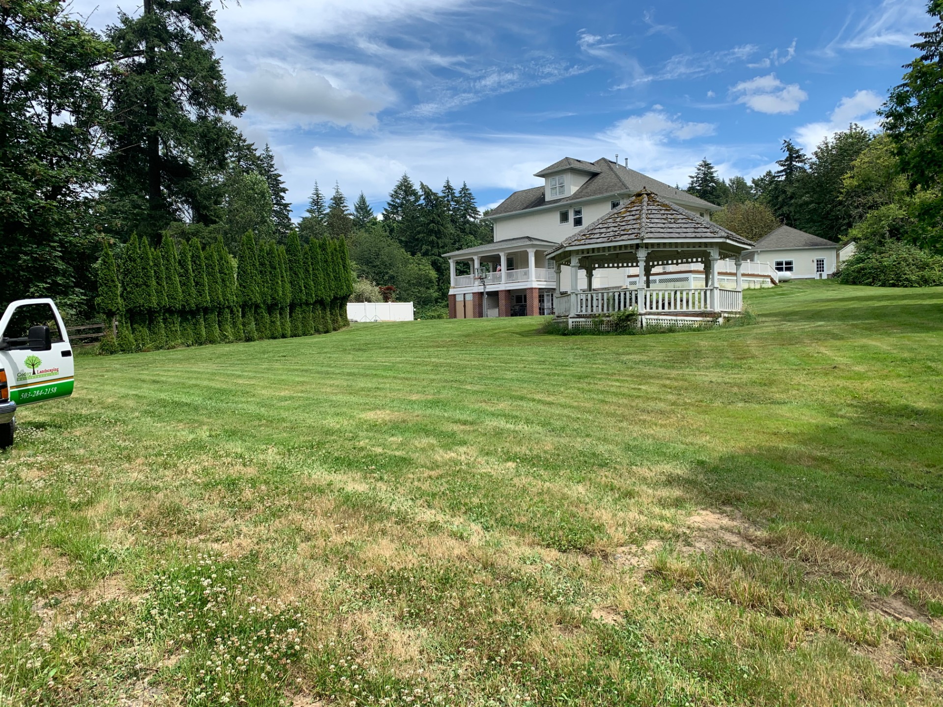 LAWN MOSS REMOVAL Moss Removal My Green Pros